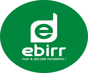 E-Birr